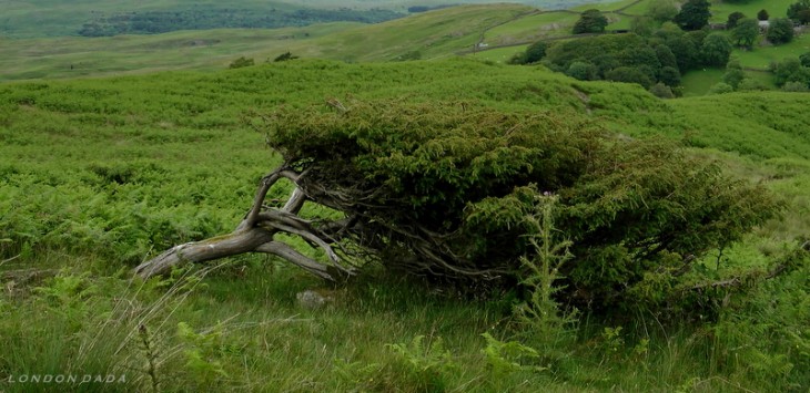 No good deed goes unpunished