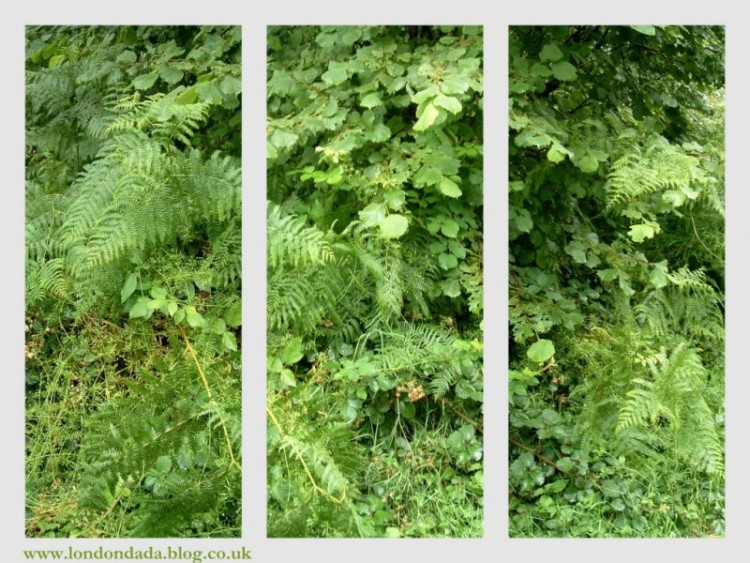 Work No. 372: An English Summer Triptych ( green chillout zone)